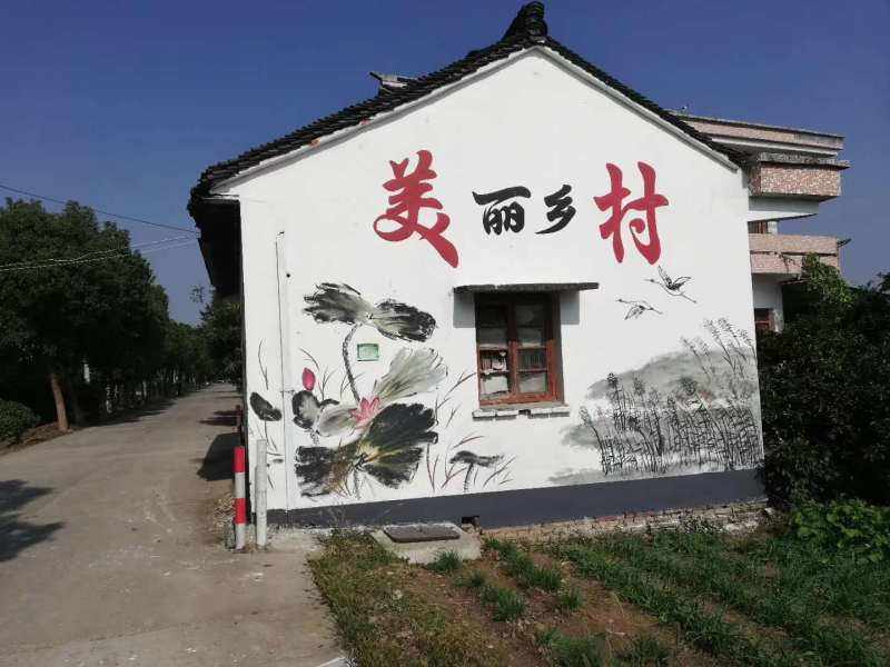 整棟墻體繪畫(huà)