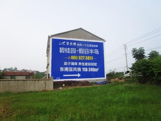 室外墻體繪畫(huà)